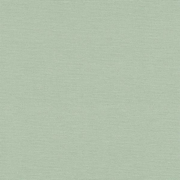 PROFHOME 371788-GU Ton-in-Ton Tapete Uni Matt Grün 0,53 m x 10,05 m 5,33 m2 günstig online kaufen