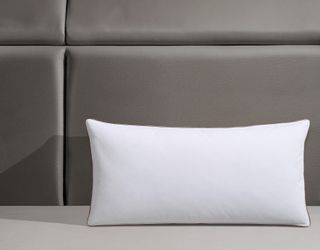 RIBECO Gänsefederkopfkissen "Kalle" Füllung: Gaensefedern-Daunen 1 Stk. tlg günstig online kaufen