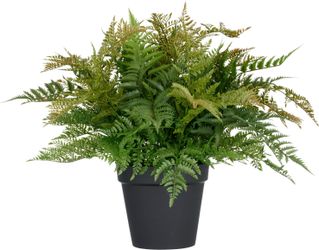 Kunstpflanze Farn, Creativ green, Höhe 70 günstig online kaufen