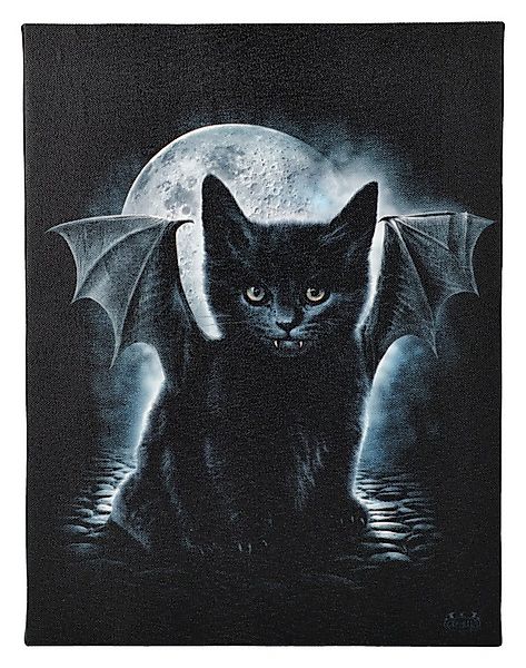 Figuren Shop GmbH Leinwandbild Kleine Leinwand Katze - Bat Cat - Dekobild K günstig online kaufen