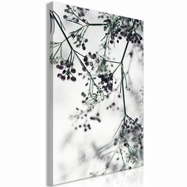 artgeist Wandbild Blooming Twigs (1 Part) Vertical schwarz/weiß Gr. 40 x 60 günstig online kaufen