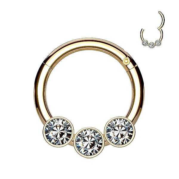 Taffstyle Nasenpiercing Septum Piercing Scharnier Ring günstig online kaufen