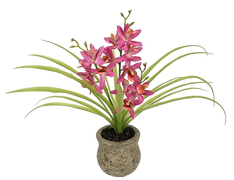 Kunstblume Kunstblume Schmetterling Orchidee mit Keramiktopf, günstig online kaufen