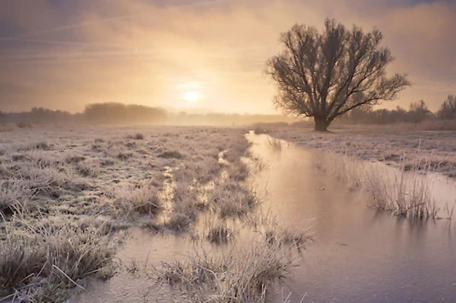 Papermoon Fototapete »Winterlandschaft« günstig online kaufen