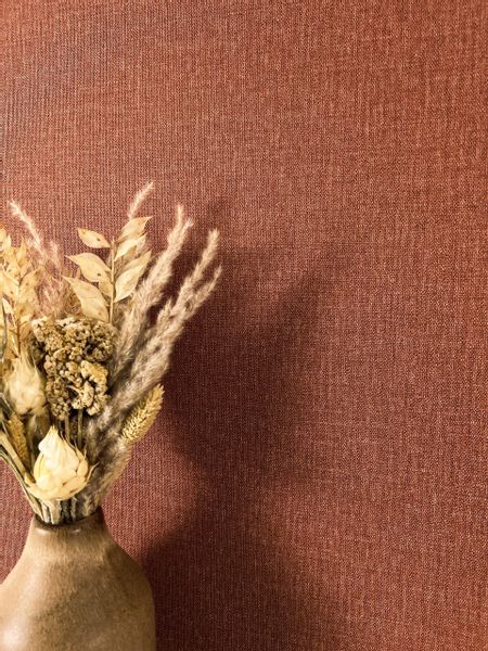 Newroom Vliestapete, Braun Tapete Modern Unifarbe günstig online kaufen