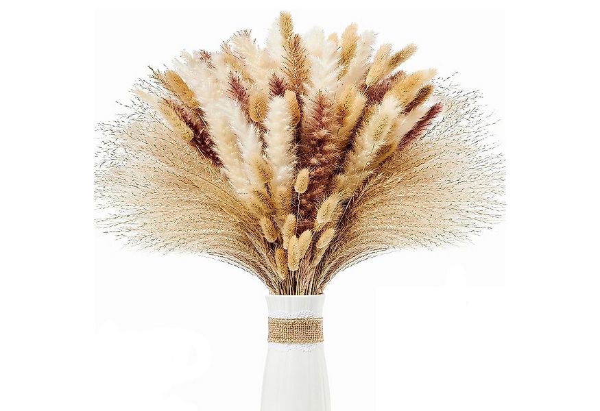 Trockenblume 75 Stück Pampasgras Getrocknet,Pampasgras Trockenblumen Deko B günstig online kaufen