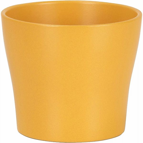 Scheurich Übertopf 808 Ø 17 cm x 15 cm Curcuma günstig online kaufen