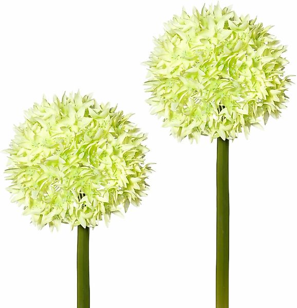 Kunstblume, Creativ green, Höhe 65 cm, 2er Set günstig online kaufen