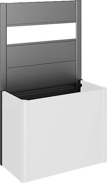 Biohort Sichtschutzelement für Hochbeet Belvedere 100, inkl. Acrylglas-Pane günstig online kaufen