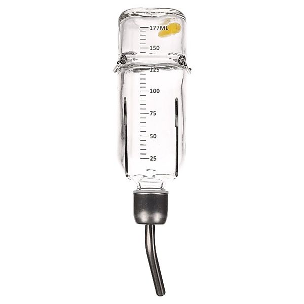 Flamingo Wasserspender Trinkflasche Athina Glas Nager 0.175 l günstig online kaufen