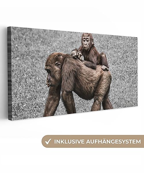 OneMillionCanvasses® Leinwandbild Panorama Affen - Landschaft günstig online kaufen