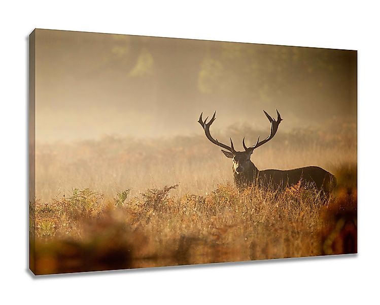 Visario Leinwandbild Wandbild auf Leinwand 80 x 60 cm aufhängfertig von Vis günstig online kaufen