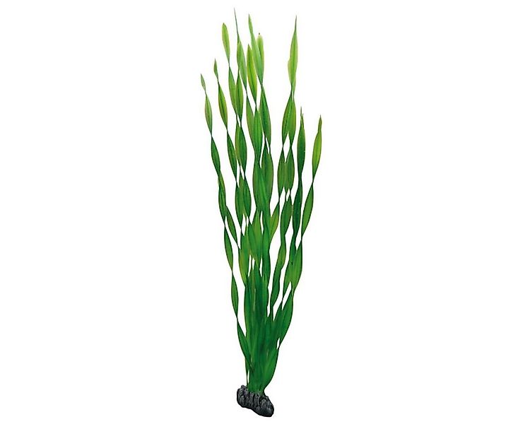 HOBBY Aquariendeko Vallisneria, 60 cm Kunststoffpflanze für Aquarien günstig online kaufen
