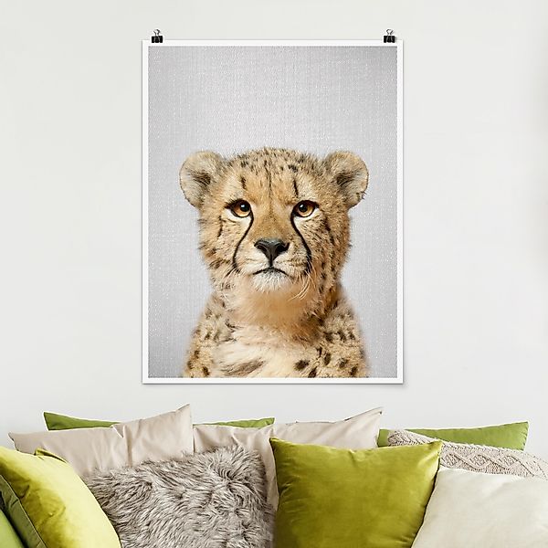 Poster Gepard Gerald günstig online kaufen