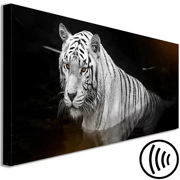 Wandbild Shining Tiger (1 Part) Orange Narrow XXL günstig online kaufen