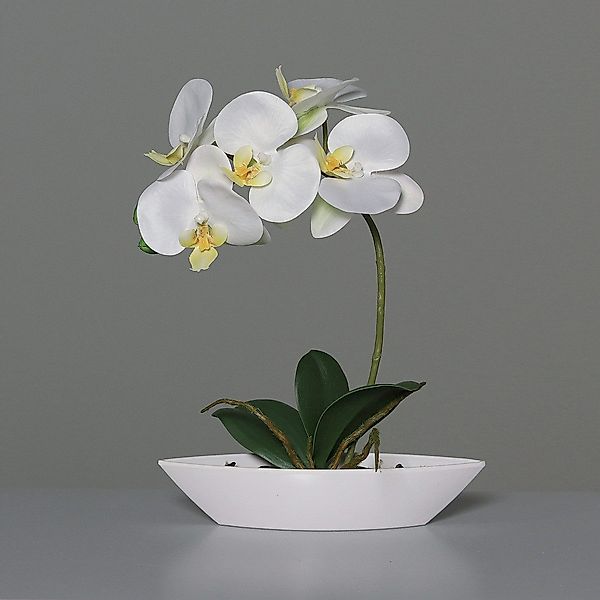 Kunstorchidee, DPI, Höhe 28 cm, im günstig online kaufen