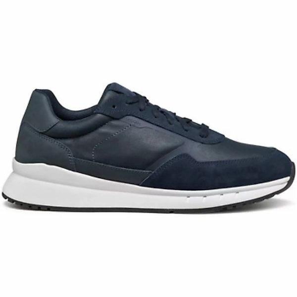 Geox  Sneaker - günstig online kaufen