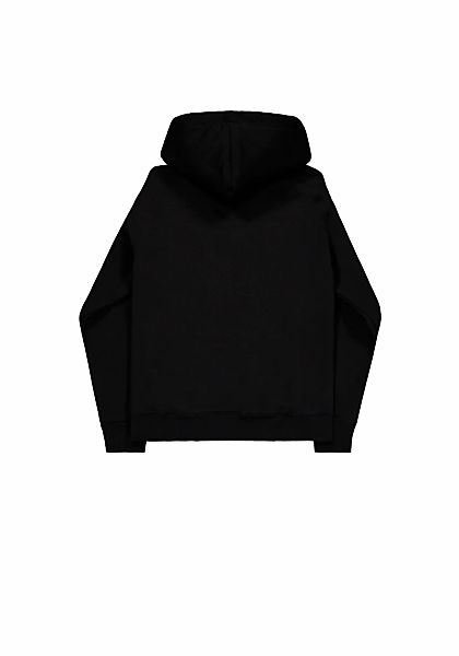 Alpha Industries Hoodie "Embroidery Hoodie" günstig online kaufen