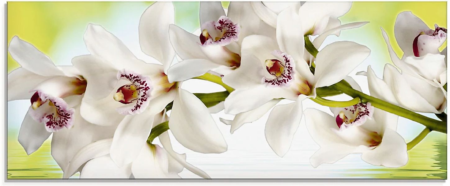 Artland Glasbild "Weiße Orchidee" 1 Stk. tlg. in verschiedenen Größen günstig online kaufen