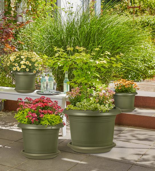 Scheurich Blumentopfuntersetzer aus Kunststoff, frostfest, UV-beständig, günstig online kaufen