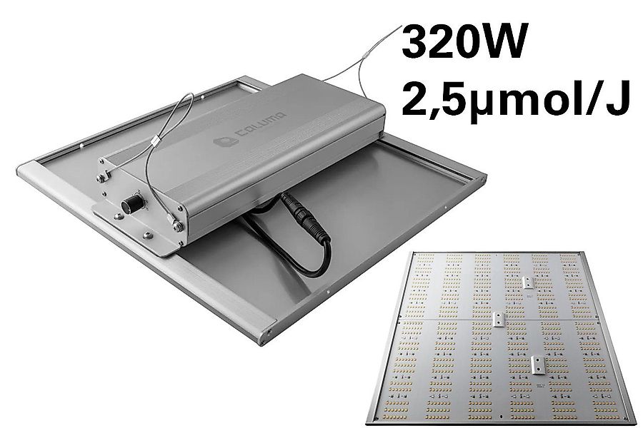Green Spirit Gewächshaus Growbox Komplett Set günstig online kaufen