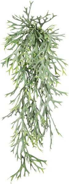 Creativ green Kunstranke "Geweihfarnhänger" 2er Set günstig online kaufen