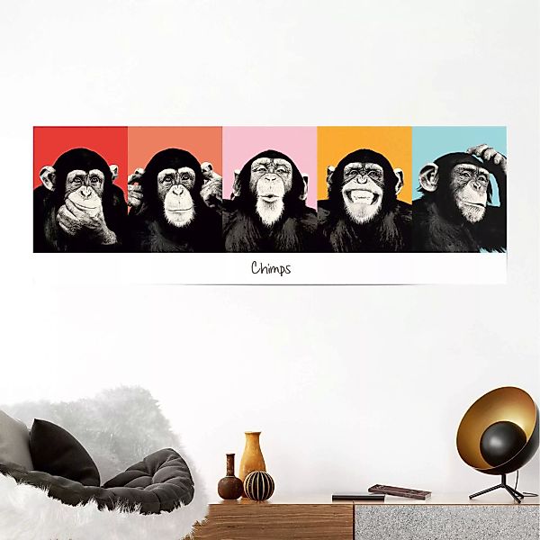 Reinders Poster "Schimpanse Pop", (1 St.) günstig online kaufen