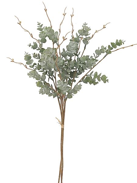 Kunstzweig Eukalyptus Büschel, 2474U, Höhe 65 günstig online kaufen