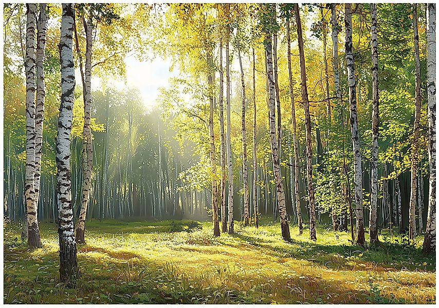Wallarena Fototapete Wald Natur Birken Vlies günstig online kaufen