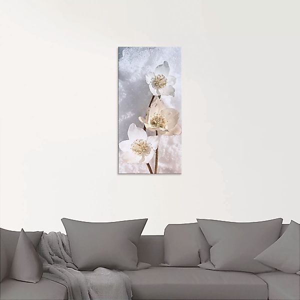 Artland Glasbild "Christrose im Schnee", Blumen, (1 St.), in verschiedenen günstig online kaufen