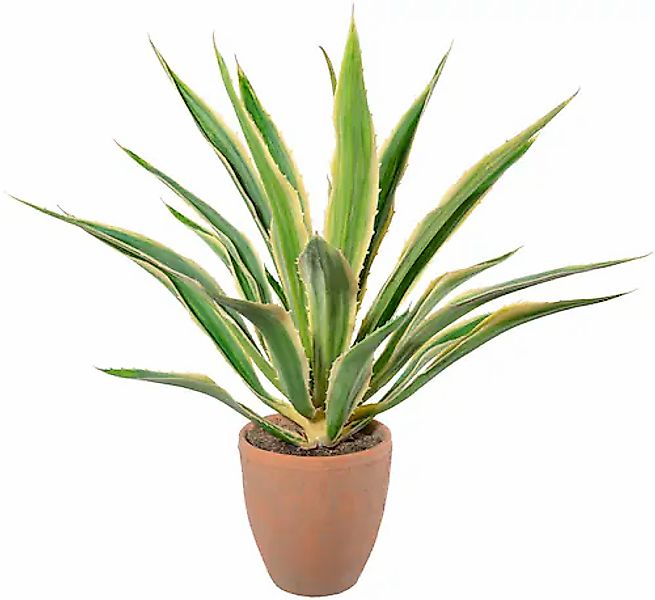 Künstliche Zimmerpflanze Agave im Terracottatopf Sukkulente, günstig online kaufen