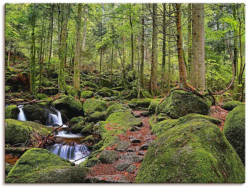 Artland Wandbild "Zauberwald", Wald, (1 St.), als Leinwandbild, Poster in v günstig online kaufen