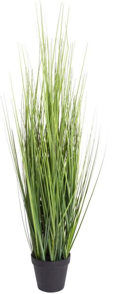 Kunstgras Gras Festuca Gras, Botanic-Haus, Höhe günstig online kaufen