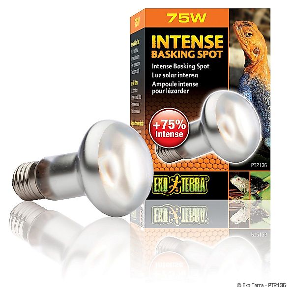 Exo Terra Terrarienleuchte Intense Basking Spot günstig online kaufen