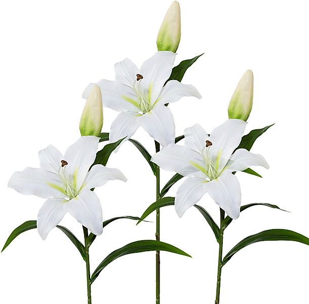 Kunstblume, Creativ green, Höhe 50 cm, 3er-Set günstig online kaufen