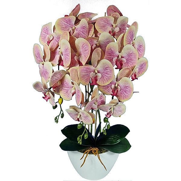 Kunstblume Orchidee, damich, Höhe 60 cm, günstig online kaufen