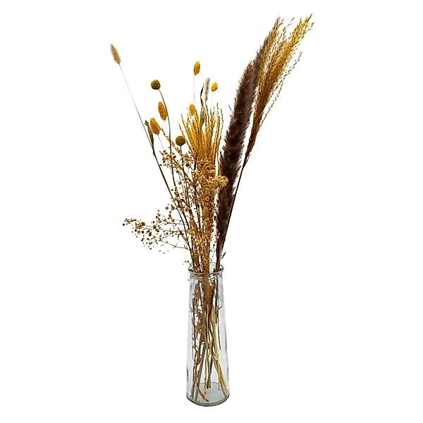 Trockenblume Bündel Pampasgras - verschiedene Ziergräser, günstig online kaufen