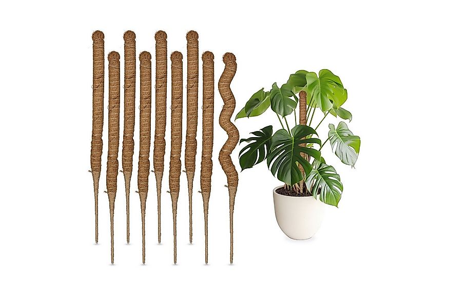 relaxdays Rankhilfe Kokosstäbe 60 cm, 10 St., 10er Set, 10er Pack günstig online kaufen