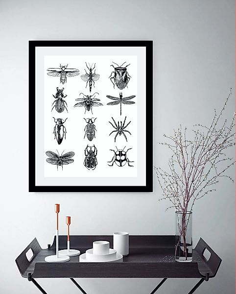 queence Bild »Insekten« günstig online kaufen