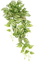 I.GE.A. Kunstpflanze "Tradeskantie" Hängepflanze günstig online kaufen