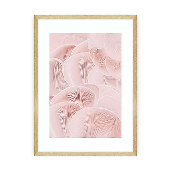 Poster Pastel Pink I, 70 x 100 cm , Ramka: Złota günstig online kaufen