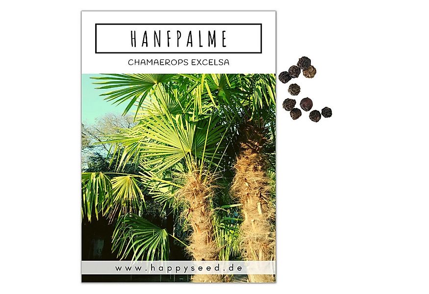 HappySeed Blumensamen Hanfpalme Samen - Chamaerops excelsa, Blumen günstig online kaufen