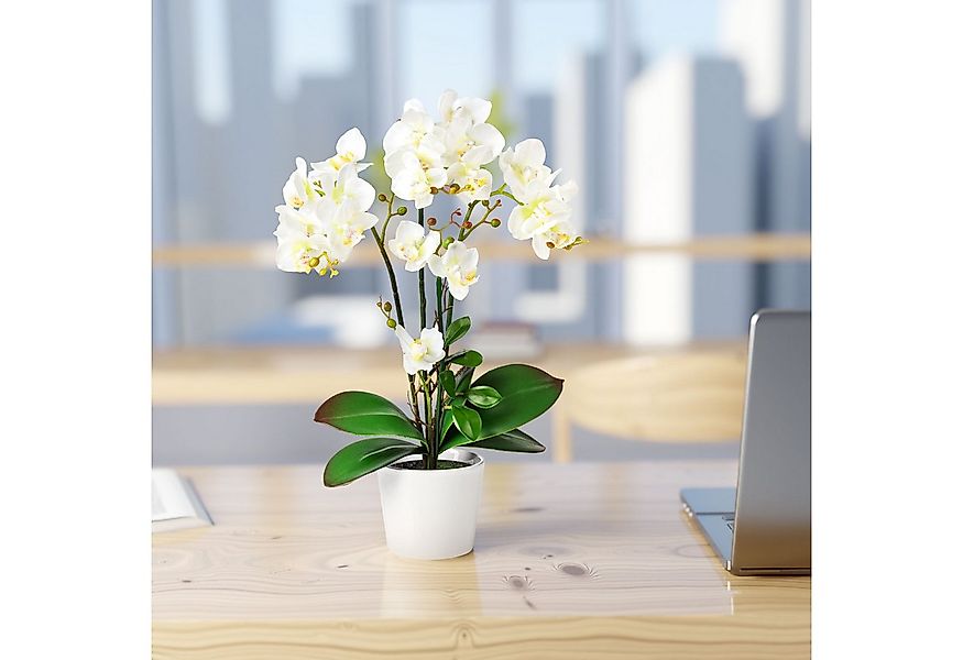 Kunstorchidee PASCH® Orchidee künstlich wie echt (46cm) in Hochglanz-Kerami günstig online kaufen