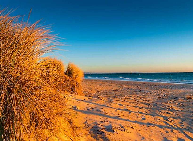 Papermoon Fototapete »Dunes Chelsea Beach Australia« glatt günstig online kaufen