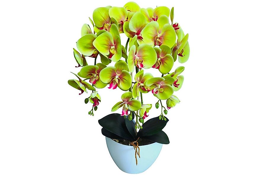 Kunstorchidee Orchidee, damich, Höhe 60 cm, Künstliche Orchideenblumen Orch günstig online kaufen