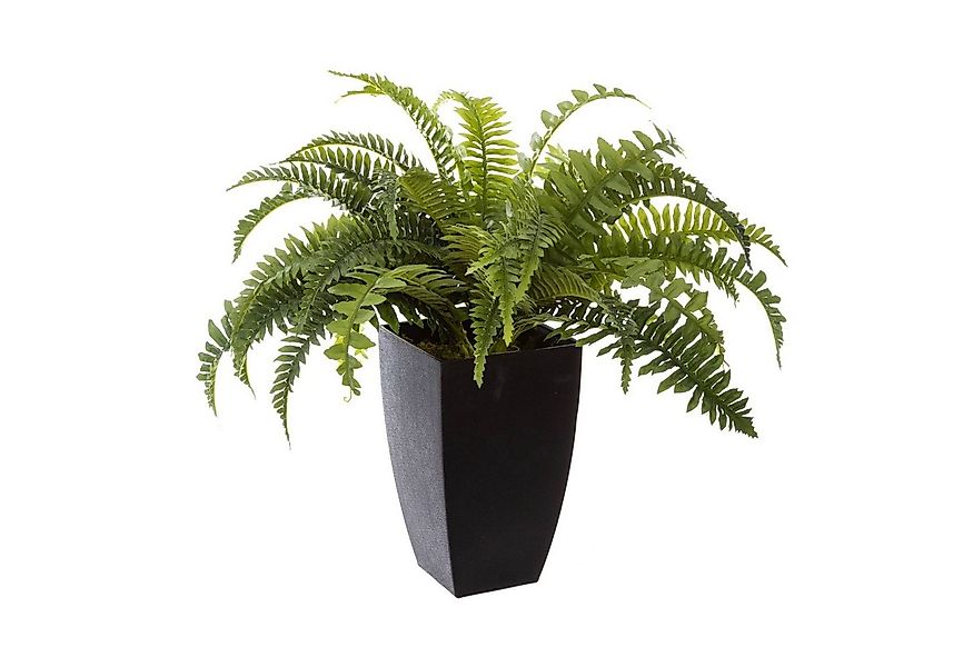 Kunstpflanze Kunstpflanze im schwarzem Übertopf, H. 55 cm, Kunstfarn Zimmer günstig online kaufen