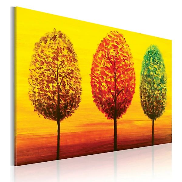 Wandbild Vier Jahreszeiten-Bäume XXL günstig online kaufen