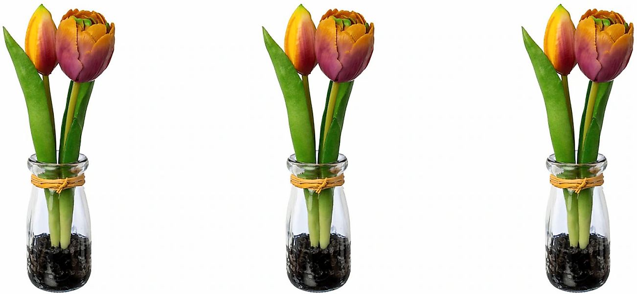 my home Kunsttulpe "Tulpen in Vase" günstig online kaufen