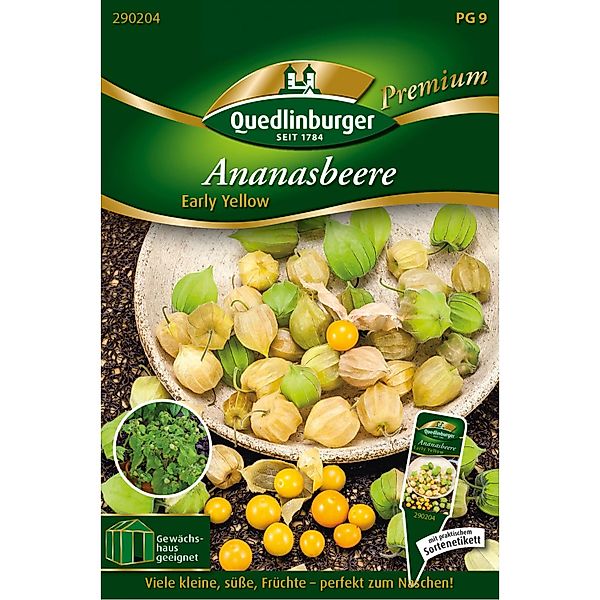 Quedlinburger Ananasbeere Early Yellow Loses Saatgut günstig online kaufen