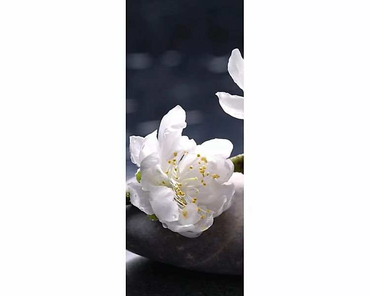 Dekopanel "Blume aufStein" 1,00x2,50 m / Glattvlies Perlmutt günstig online kaufen